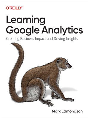 Learning Google Analytics - ebook